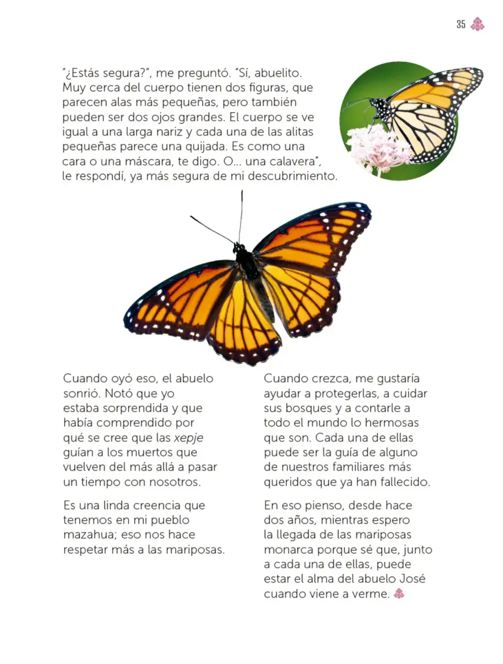 Página 36
