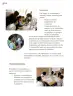 Miniatura página 229 de Proyectos Comunitarios.   Libro de Educación Primaria Grado 3°  Ciclo Escolar 2025 - 2026