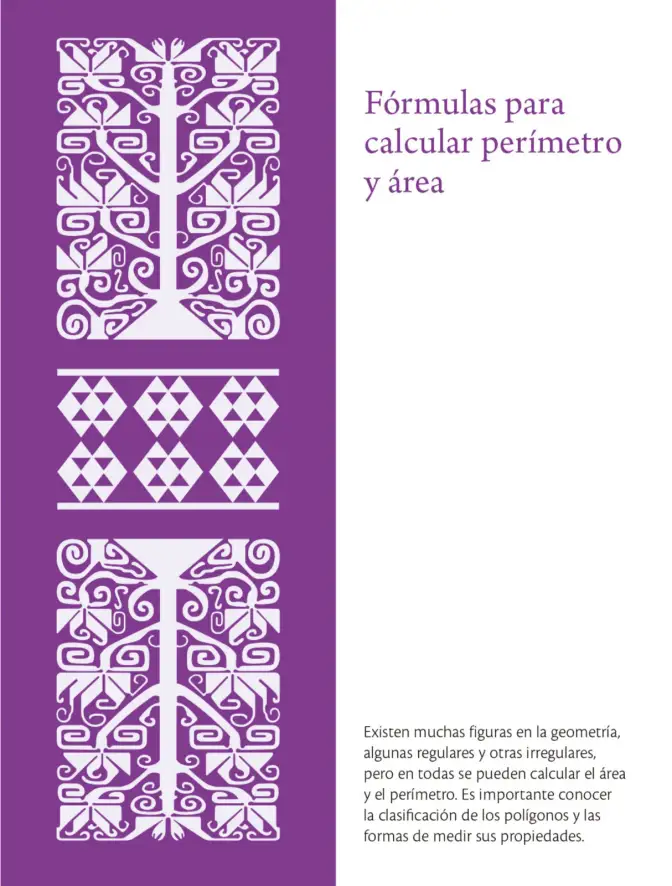 Página 66 de Colección Ximhai. Saberes y pensamiento científico. Libro de Educación Secundaria Grado 1° Ciclo Escolar 2025 - 2026