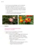 Miniatura página 135 de Proyectos Comunitarios.   Libro de Educación Primaria Grado 5°  Ciclo Escolar 2025 - 2026