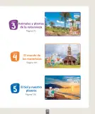 Miniatura página 8 de Ciencias Naturales – Primero Básico | Texto del Estudiante (MINEDUC) – Descargar PDF · 2024