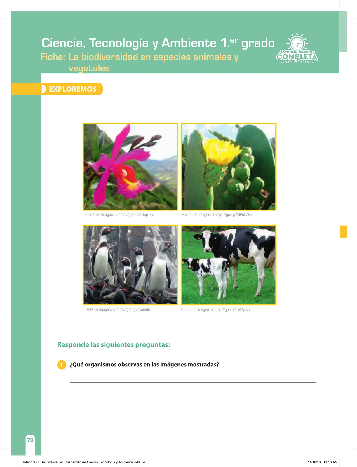 Página 70 de Ciencia, Tecnología y Ambiente 1. Cuaderno de reforzamiento pedagógico - JEC · 2016