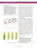 Miniatura página 154 de Ciencias Naturales 7° · Secundaria Activa
