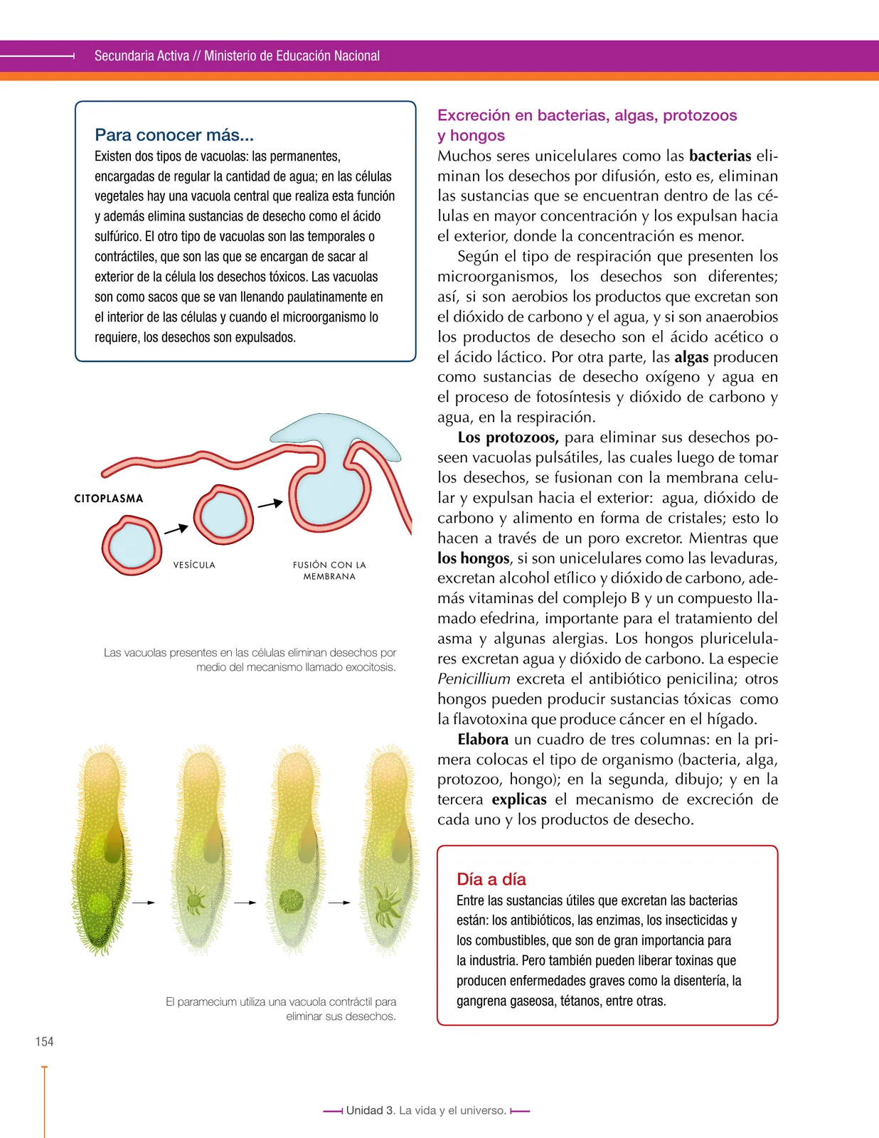 Miniatura página 154 de Ciencias Naturales 7° · Secundaria Activa