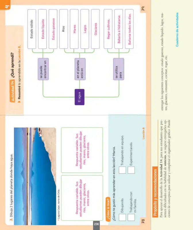 Página 45 de Ciencias Naturales – Segundo Básico | Texto del Estudiante MINEDUC – Descargar PDF · 2024