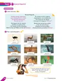 Miniatura página 102 de Inglés – Sexto Básico | Student’s Book MINEDUC – Descargar PDF · 2023