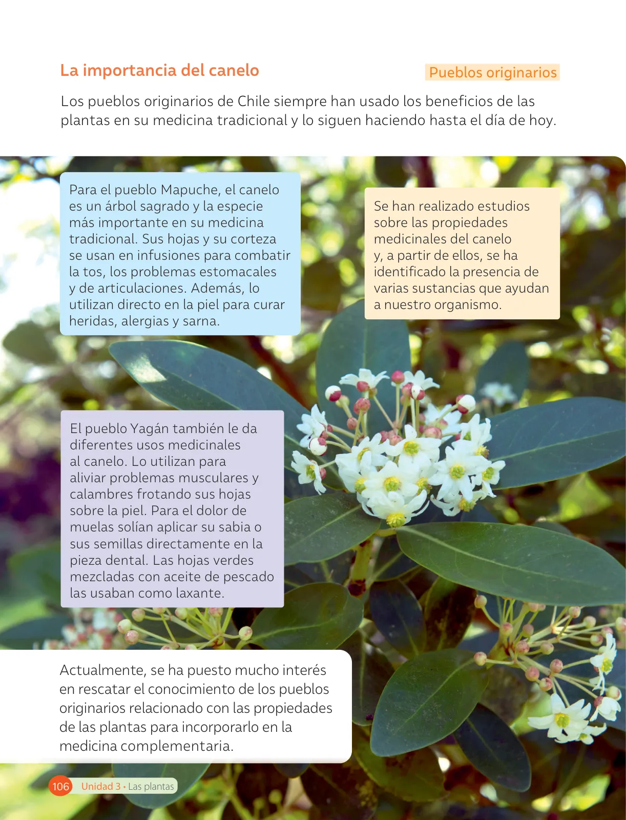 Página 108 de Ciencias Naturales – Tercero Básico | Texto del Estudiante MINEDUC – Descargar PDF · 2024
