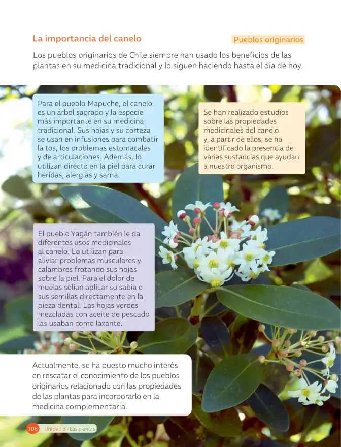 Página 108 de Ciencias Naturales – Tercero Básico | Texto del Estudiante MINEDUC – Descargar PDF · 2024