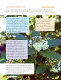 Miniatura página 108 de Ciencias Naturales – Tercero Básico | Texto del Estudiante MINEDUC – Descargar PDF · 2024