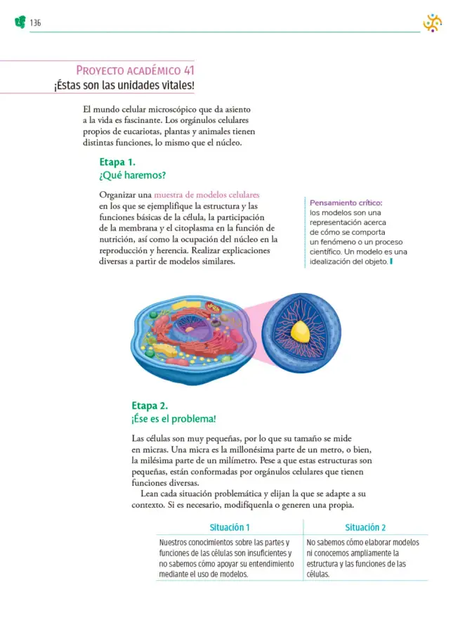 Página 137 de Colección Ximhai. Nuestro libro de Proyectos. Tomo III. Libro de Educación Telesecundaria Grado 1° Ciclo Escolar 2025 - 2026