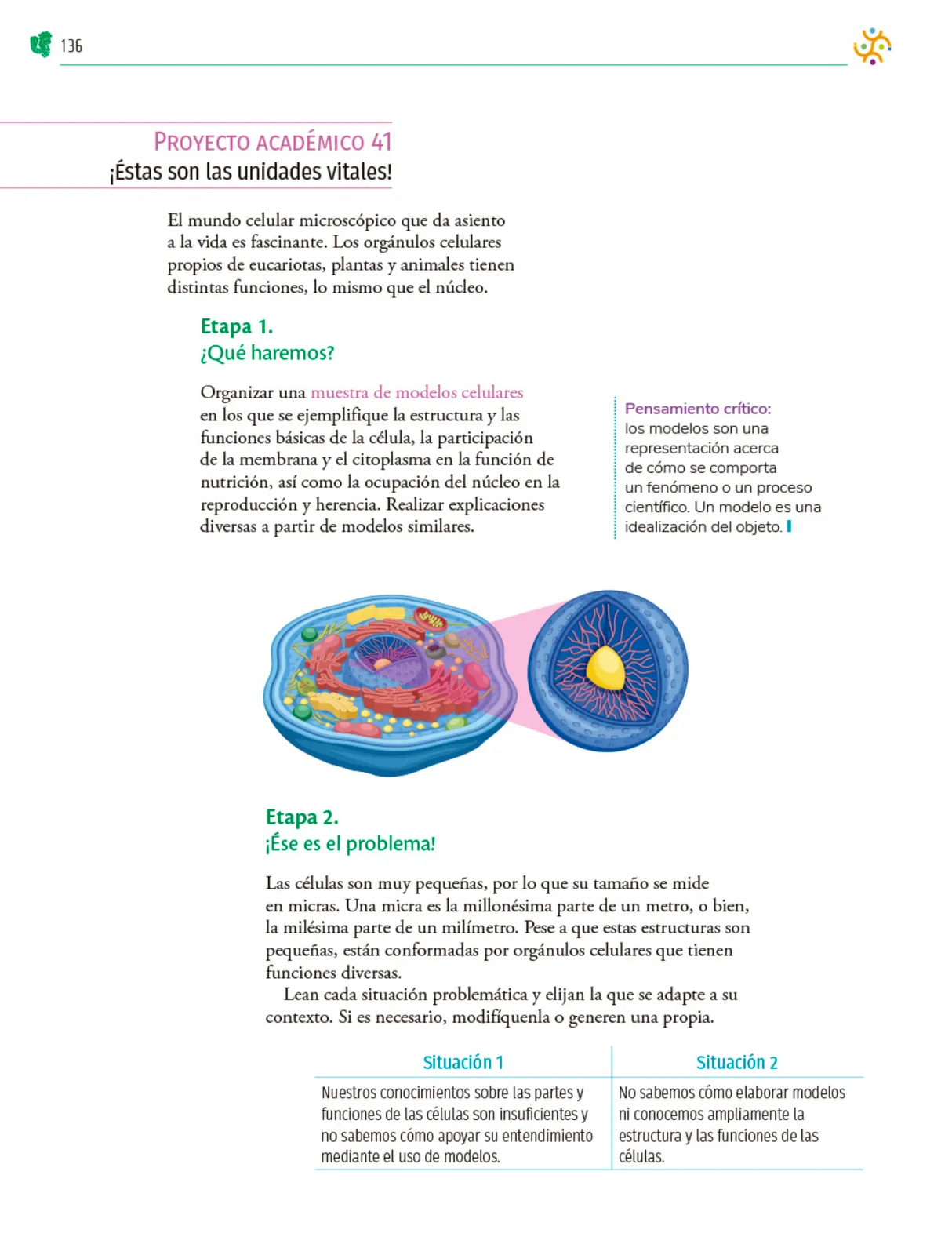 Miniatura página 137 de Colección Ximhai. Nuestro libro de Proyectos.  Tomo III.  Libro de Educación Telesecundaria Grado 1°  Ciclo Escolar 2025 - 2026