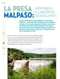 Miniatura página 115 de Múltiples lenguajes.   Libro de Educación Primaria Grado 5°  Ciclo Escolar 2025 - 2026