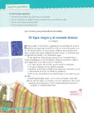 Miniatura página 268 de Lenguaje y Comunicación – Cuarto Básico | Texto del Estudiante MINEDUC – Descargar PDF · 2024
