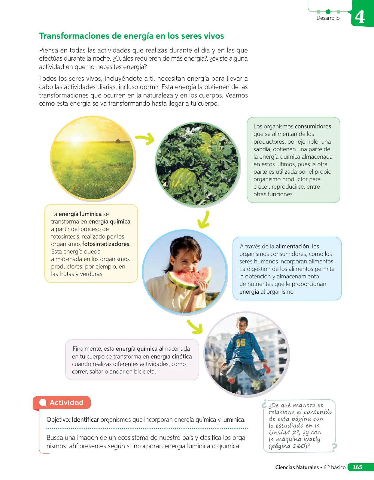 Miniatura página 70 de Libro de Ciencias Naturales – Quinto Básico | Texto del Estudiante MINEDUC – Descargar PDF · 2024