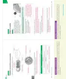 Miniatura página 60 de Ciencias Naturales – Séptimo Básico | Texto del Estudiante MINEDUC – Descargar PDF · 2024