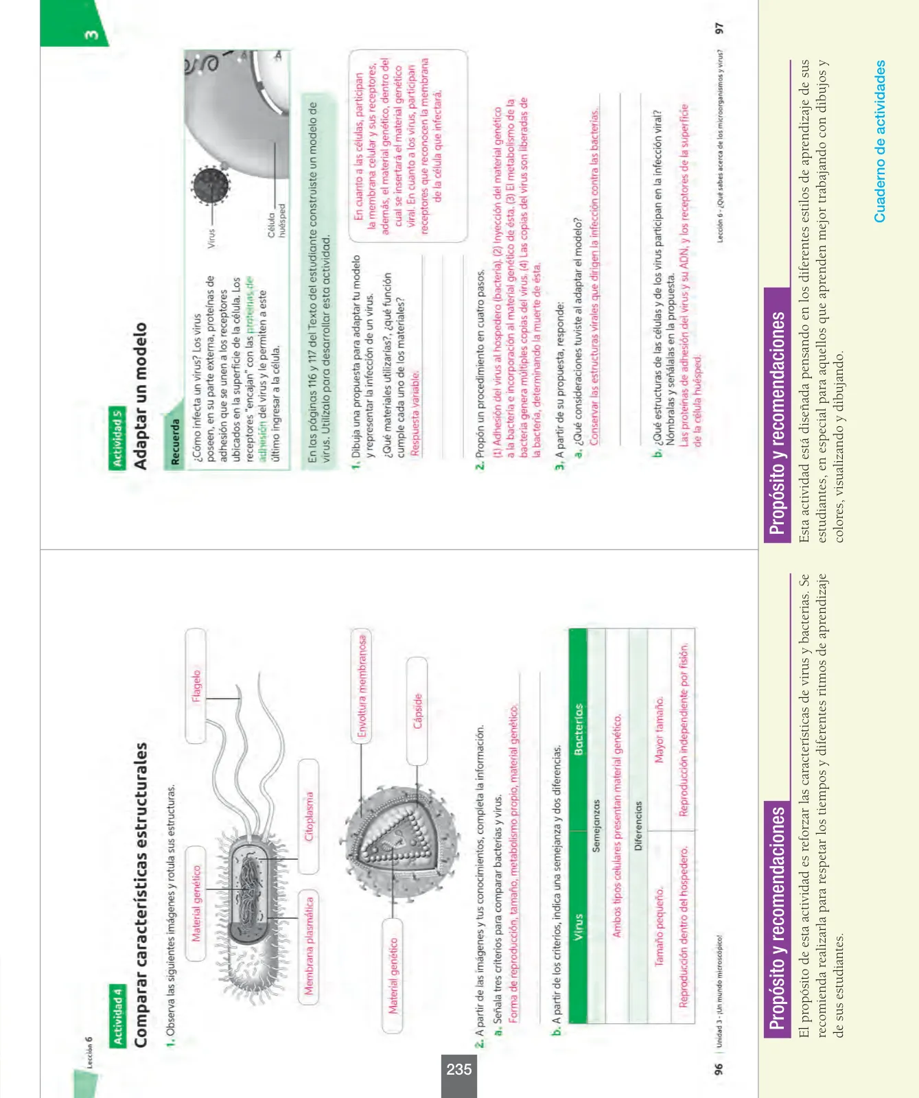 Miniatura página 60 de Ciencias Naturales – Séptimo Básico | Texto del Estudiante MINEDUC – Descargar PDF · 2024