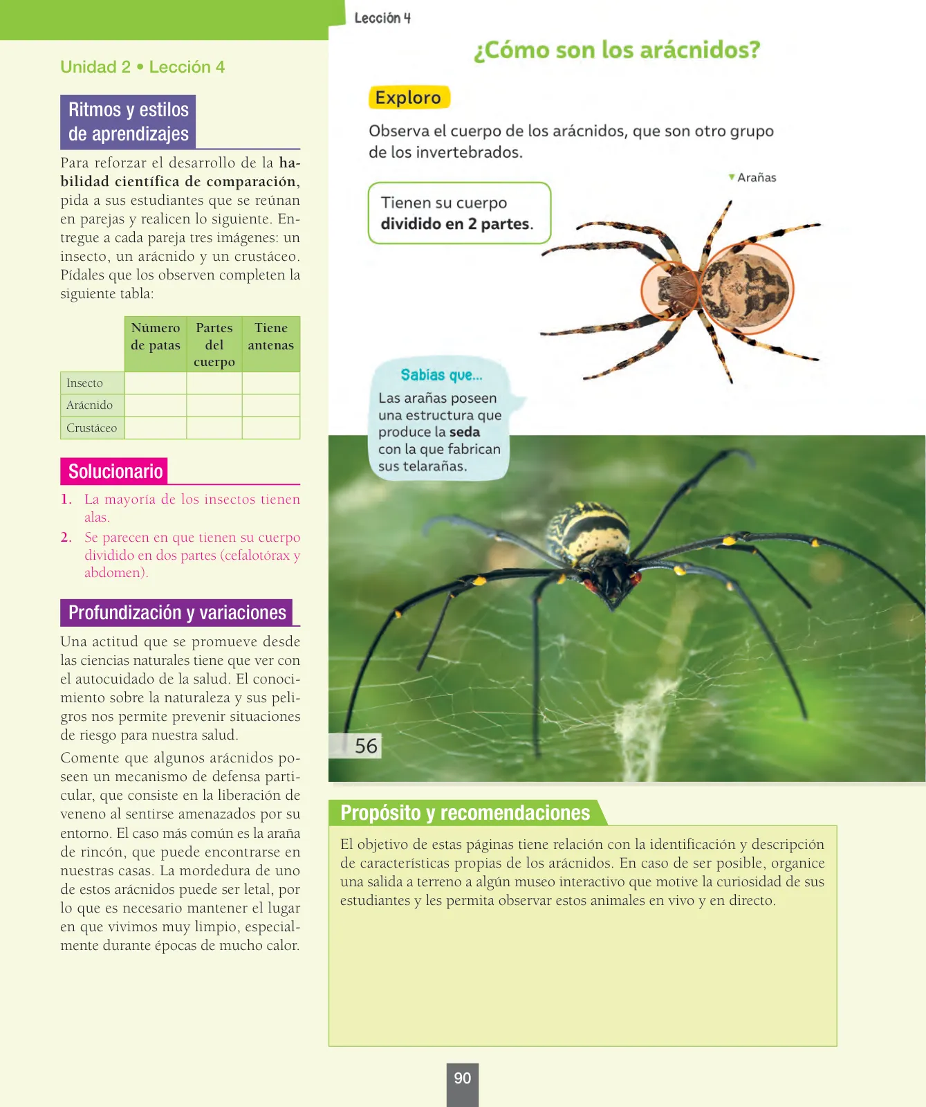 Página 91 de Ciencias Naturales – Segundo Básico | Texto del Estudiante MINEDUC – Descargar PDF · 2024