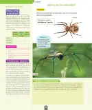 Miniatura página 91 de Ciencias Naturales – Segundo Básico | Texto del Estudiante MINEDUC – Descargar PDF · 2024
