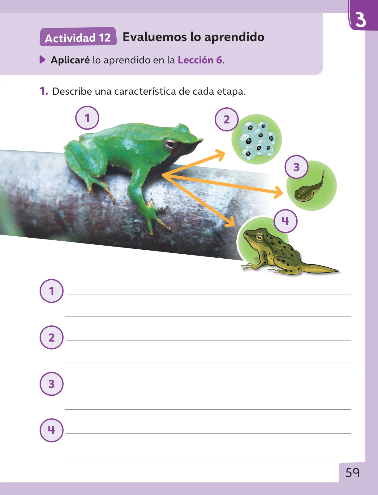 Pág 60