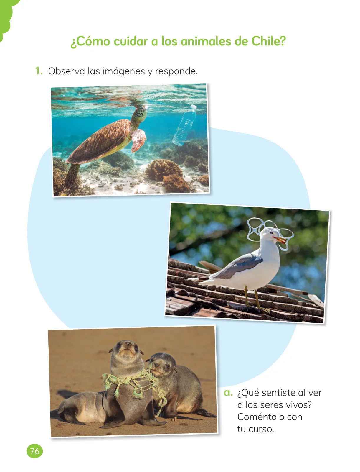 Página 78 de Ciencias Naturales – Primero Básico | Texto del Estudiante (MINEDUC) – Descargar PDF · 2024
