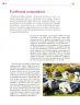 Miniatura página 197 de Colección Sk´asolil. Lenguajes.   Libro de Educación Secundaria Grado 2°  Ciclo Escolar 2025 - 2026
