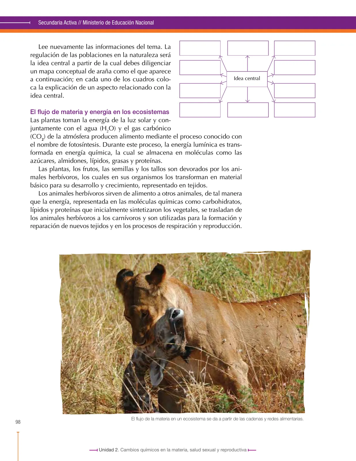 Página 98 de Ciencias Naturales 8° · Secundaria Activa