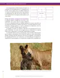 Miniatura página 98 de Ciencias Naturales 8° · Secundaria Activa
