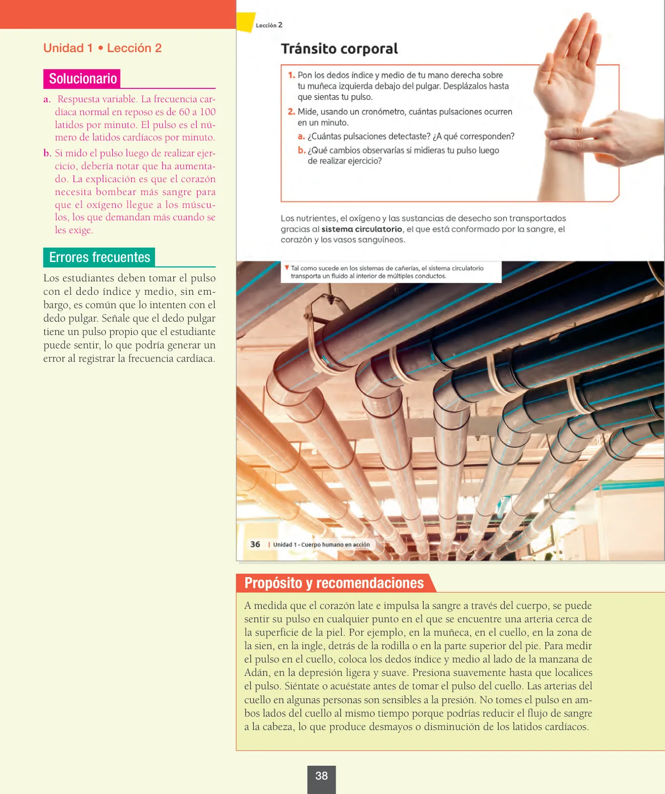 Página 39 de Ciencias Naturales – Octavo Básico | Texto del Estudiante MINEDUC – Descargar PDF · 2024
