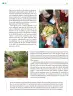 Miniatura página 289 de Colección Nanahuatzin. Ética, naturaleza y sociedades.   Libro de Educación Telesecundaria Grado 3°  Ciclo Escolar 2025 - 2026