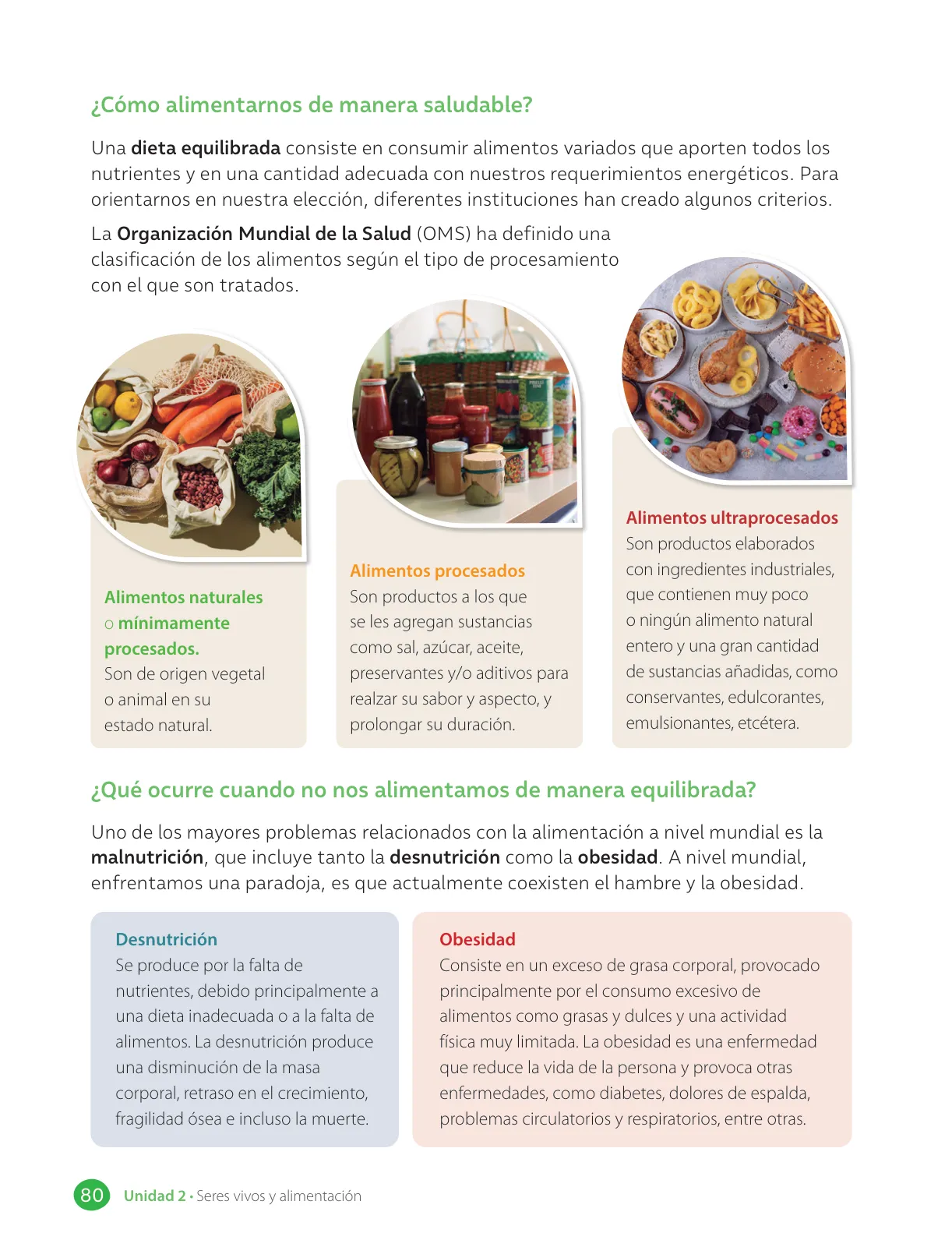 Miniatura página 82 de Libro de Ciencias Naturales – Quinto Básico | Texto del Estudiante MINEDUC – Descargar PDF · 2024