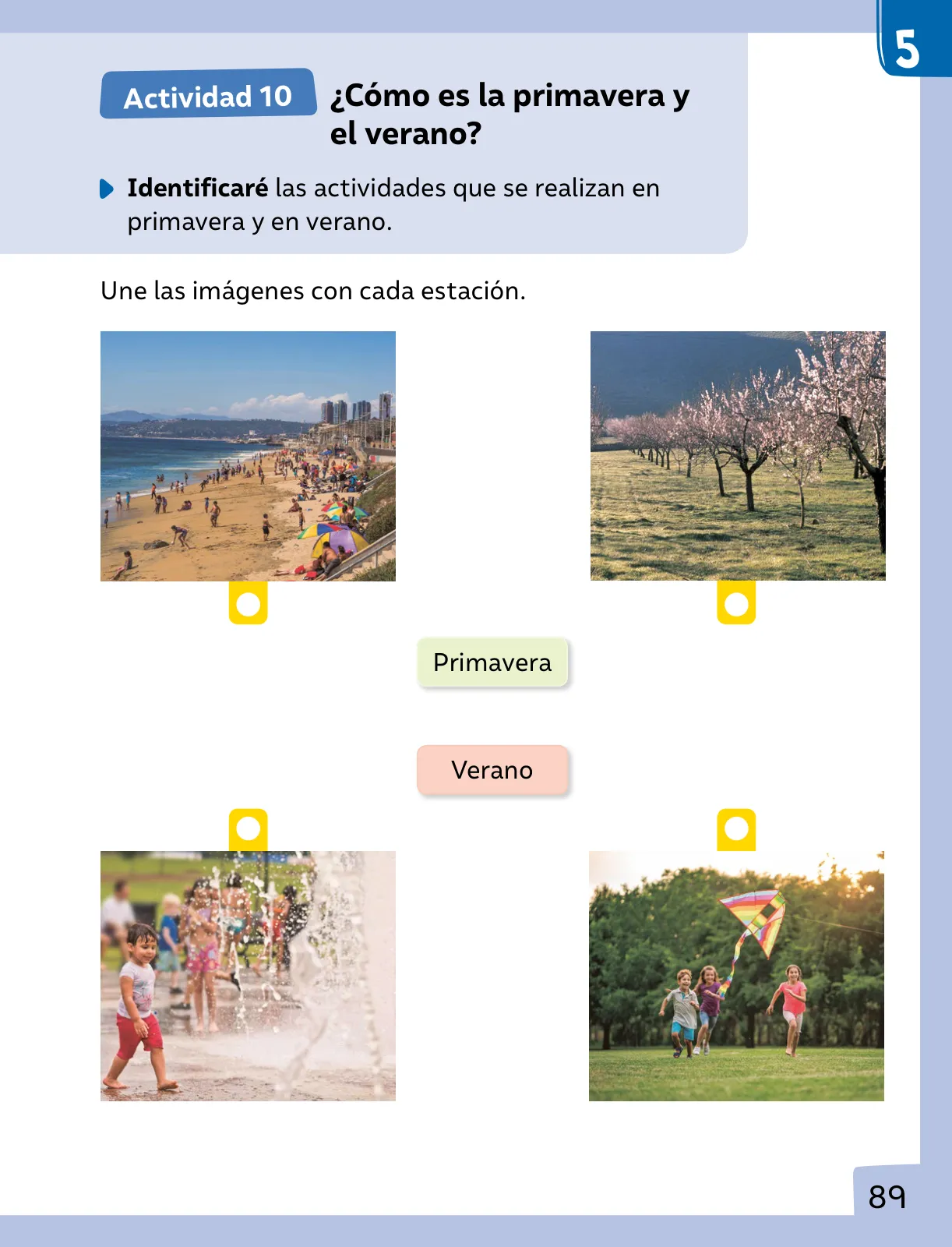 Página 90 de Ciencias Naturales – Primero Básico | Texto del Estudiante (MINEDUC) – Descargar PDF · 2024