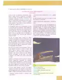 Miniatura página 65 de Lengua Y Literatura 10° · Egb 10 Lengua Y Literatura 2025 · 2025