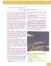 Miniatura página 65 de Lengua Y Literatura 10° · Egb 10 Lengua Y Literatura 2025 · 2025