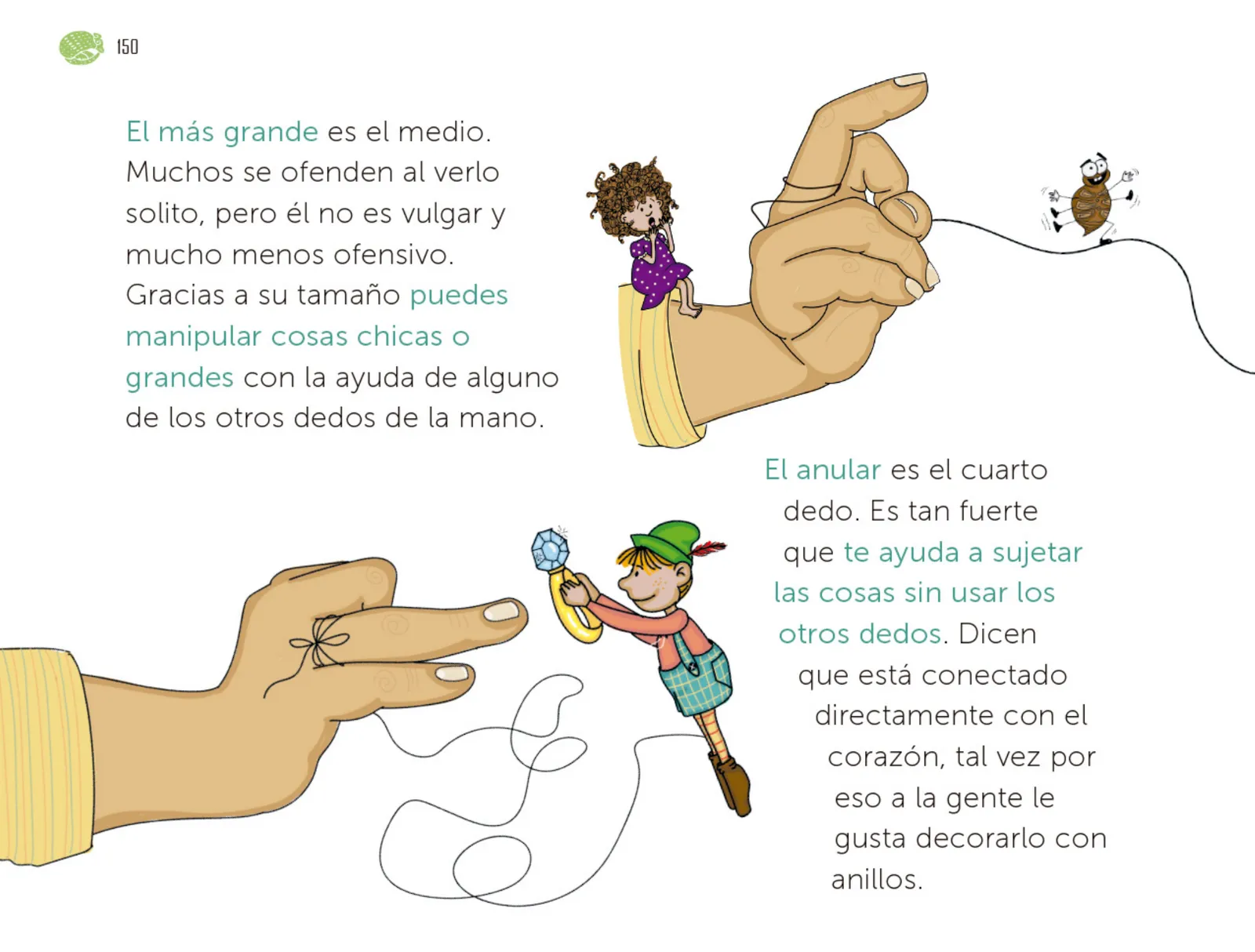 Miniatura página 151 de Múltiples lenguajes.   Libro de Educación Preescolar Grado 1°  Ciclo Escolar 2025 - 2026