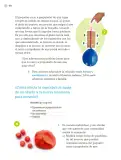 Miniatura página 187 de Proyectos de Aula.   Libro de Educación Primaria Grado 4°  Ciclo Escolar 2025 - 2026