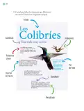 Miniatura página 117 de Proyectos Comunitarios.   Libro de Educación Primaria Grado 5°  Ciclo Escolar 2025 - 2026
