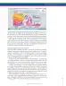 Miniatura página 281 de Lenguaje 9° · Secundaria Activa