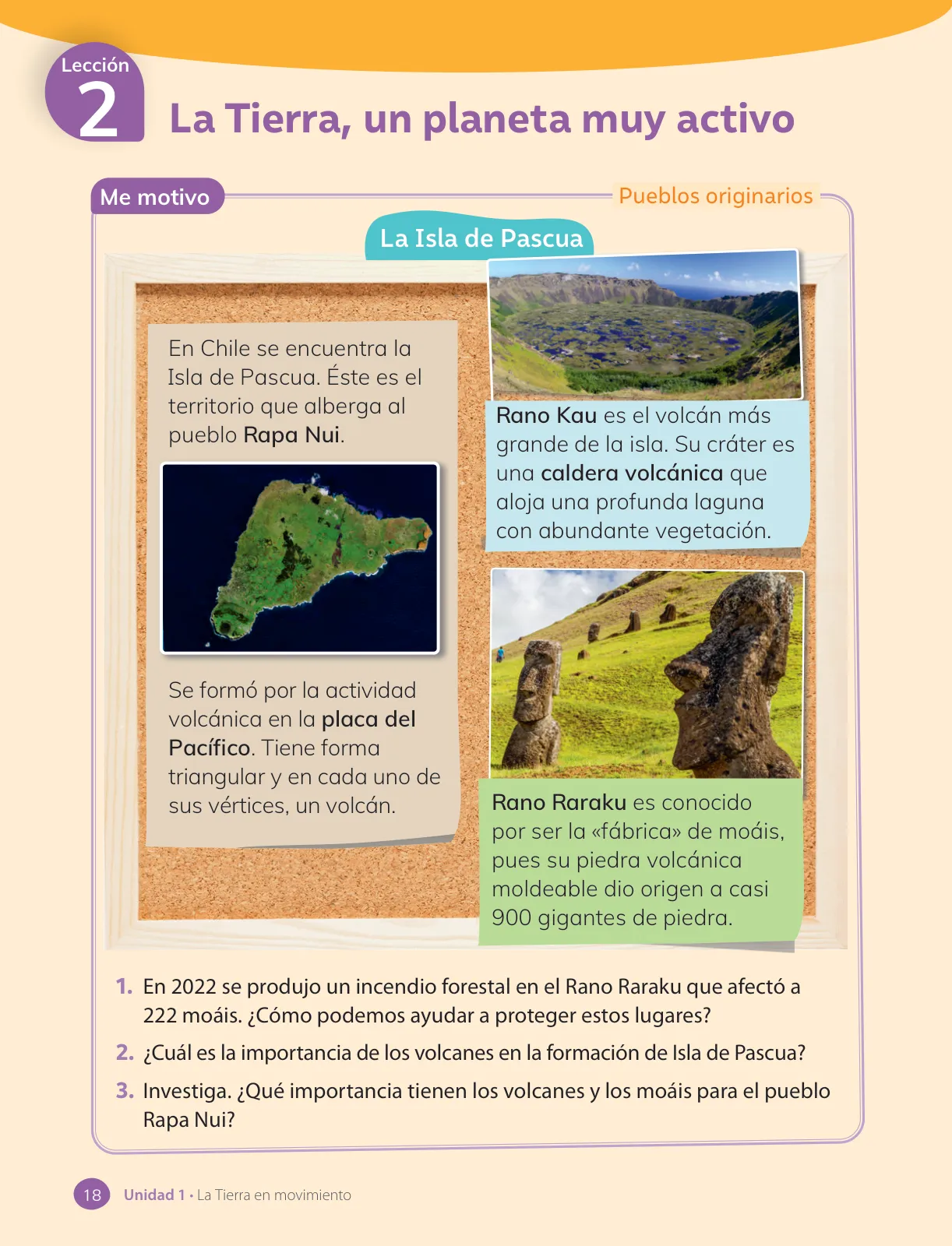Miniatura página 20 de Ciencias Naturales – Cuarto Básico | Texto del Estudiante MINEDUC – Descargar PDF · 2024