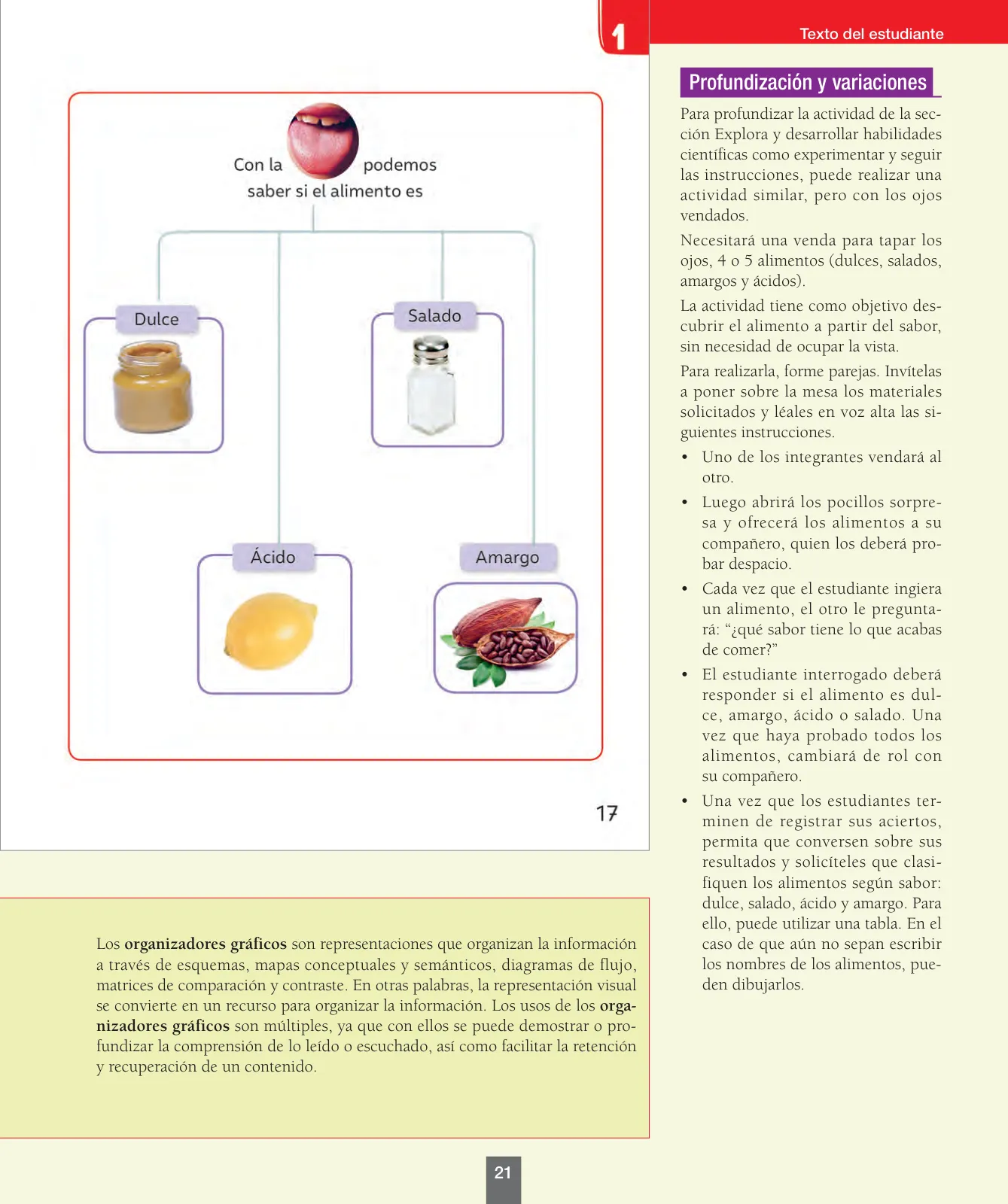 Página 22 de Ciencias Naturales – Primero Básico | Texto del Estudiante (MINEDUC) – Descargar PDF · 2024