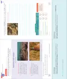 Miniatura página 86 de Lenguaje y Comunicación – Segundo Básico – Texto del Estudiante MINEDUC – Descargar PDF · 2024