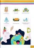 Miniatura página 32 de Ciencias Naturales 4° · Egb 4 Ciencias Naturales 2025 · 2025