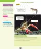 Miniatura página 87 de Ciencias Naturales – Segundo Básico | Texto del Estudiante MINEDUC – Descargar PDF · 2024