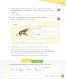 Miniatura página 81 de Lenguaje y Comunicación – Cuarto Básico | Texto del Estudiante MINEDUC – Descargar PDF · 2024