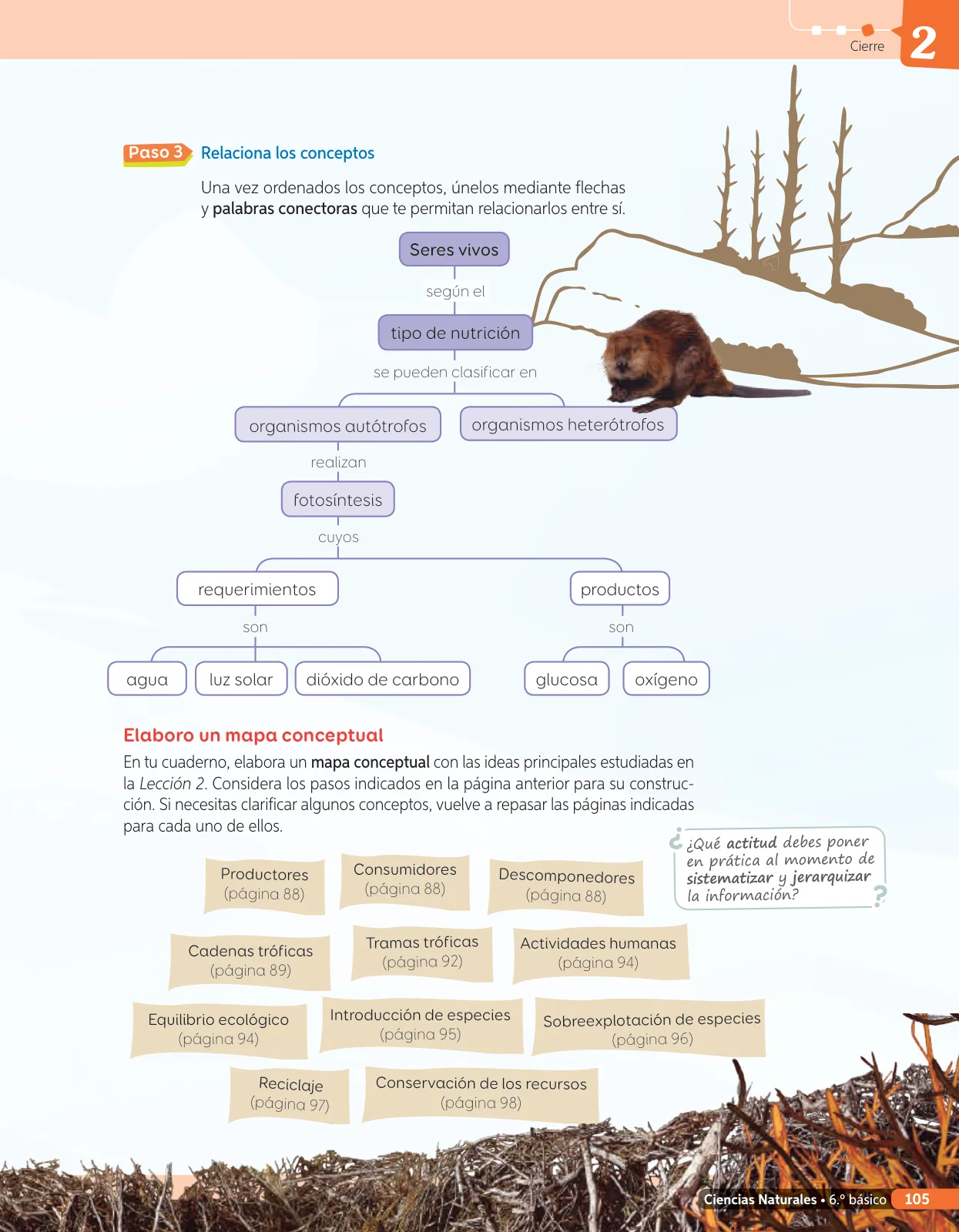 Página 224 de Libro de Ciencias Naturales – Quinto Básico | Texto del Estudiante MINEDUC – Descargar PDF · 2024