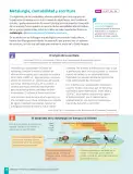 Miniatura página 40 de Historia, Geografía y Ciencias Sociales – Séptimo Básico | Texto del Estudiante MINEDUC – Descargar PDF · 2024