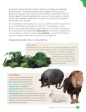 Miniatura página 93 de Libro de Ciencias Naturales – Quinto Básico | Texto del Estudiante MINEDUC – Descargar PDF · 2024