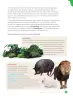 Miniatura página 93 de Libro de Ciencias Naturales – Quinto Básico | Texto del Estudiante MINEDUC – Descargar PDF · 2024