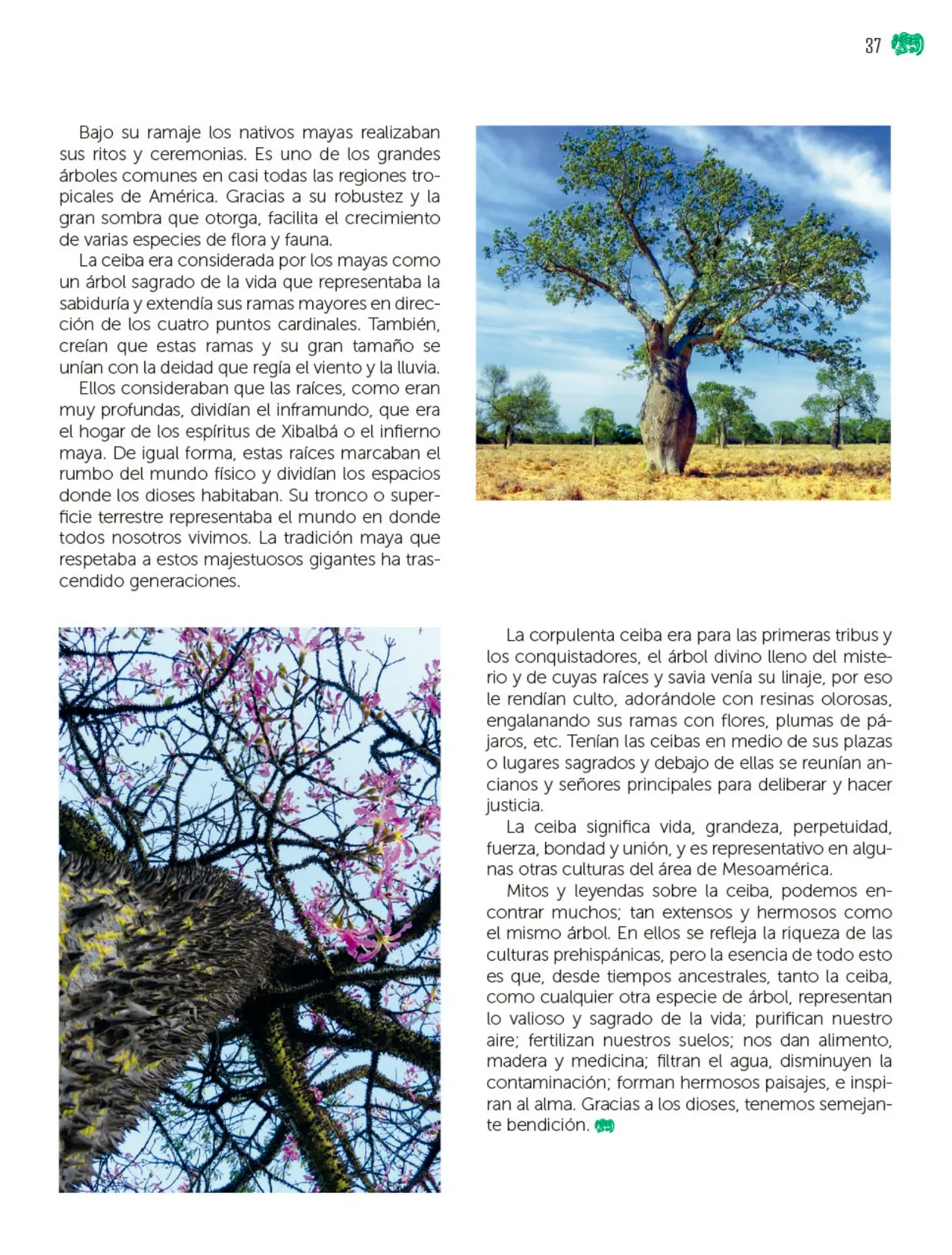 Miniatura página 38 de Colección Nanahuatzin. Múltiples lenguajes.  Libro de Educación Telesecundaria Grado 3°  Ciclo Escolar 2025 - 2026