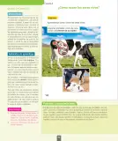 Miniatura página 81 de Ciencias Naturales – Primero Básico | Texto del Estudiante (MINEDUC) – Descargar PDF · 2024