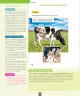 Miniatura página 81 de Ciencias Naturales – Primero Básico | Texto del Estudiante (MINEDUC) – Descargar PDF · 2024